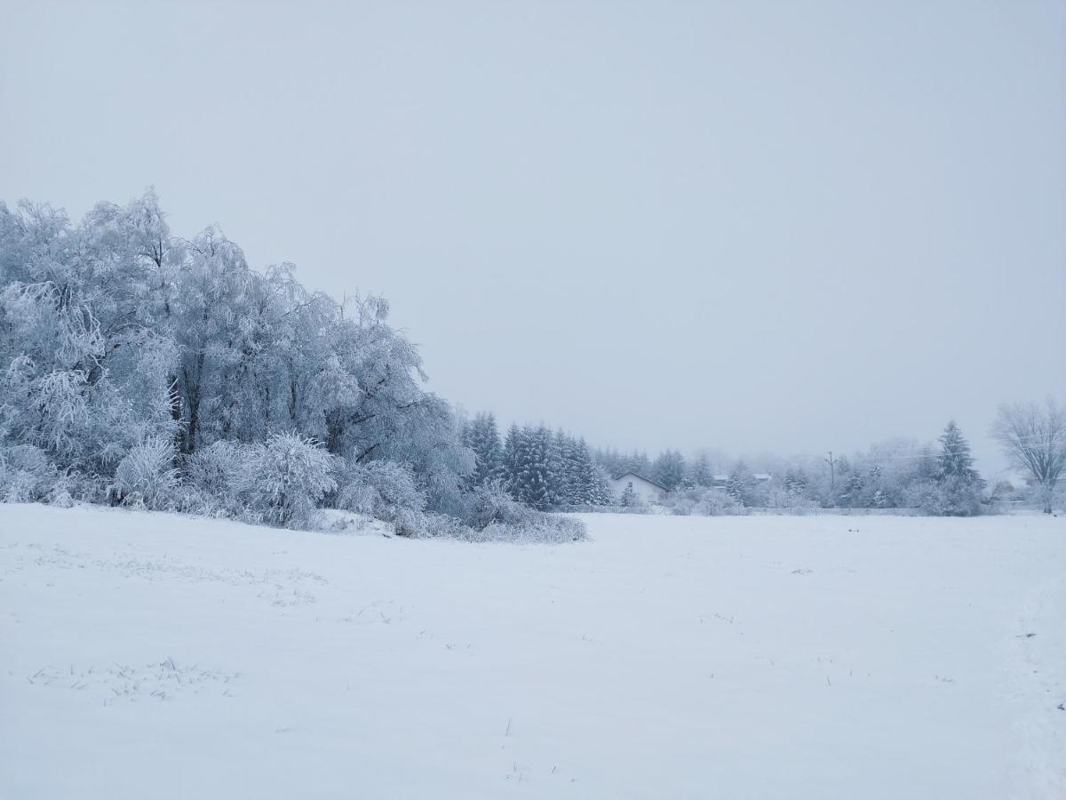 Penzion U Zpěváků Nové Hute Exterior foto
