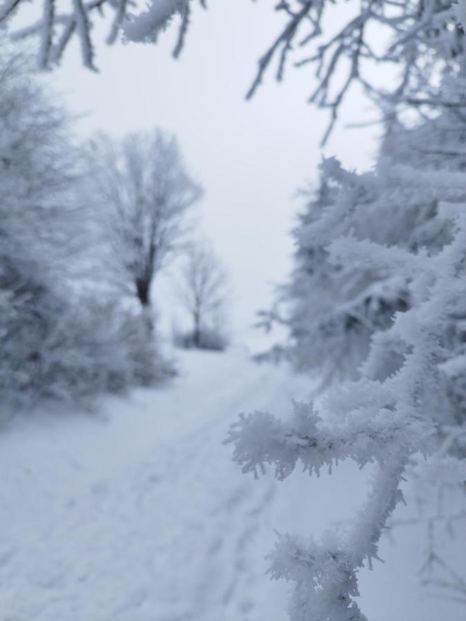 Penzion U Zpěváků Nové Hute Exterior foto